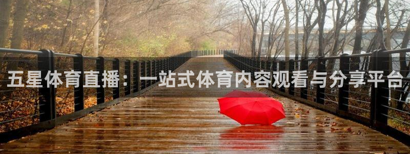 五星体育直播：一站式体育内容观看与分享平台