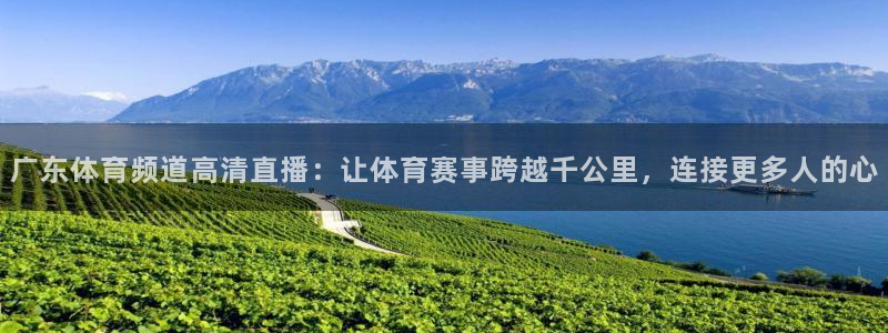 广东体育频道高清直播：让体育赛事跨越千公里，连接更多人的心