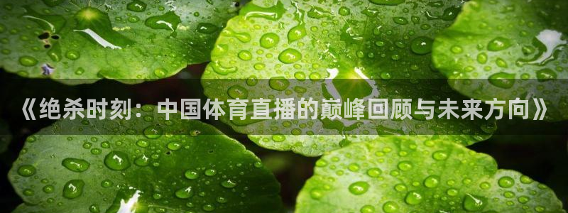 《绝杀时刻：中国体育直播的巅峰回顾与未来方向》
