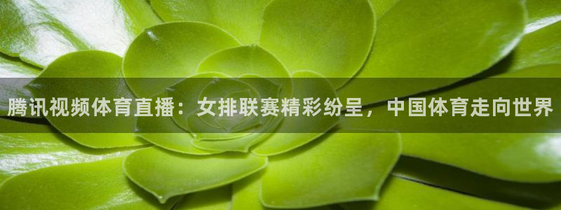 腾讯视频体育直播：女排联赛精彩纷呈，中国体育走向世界