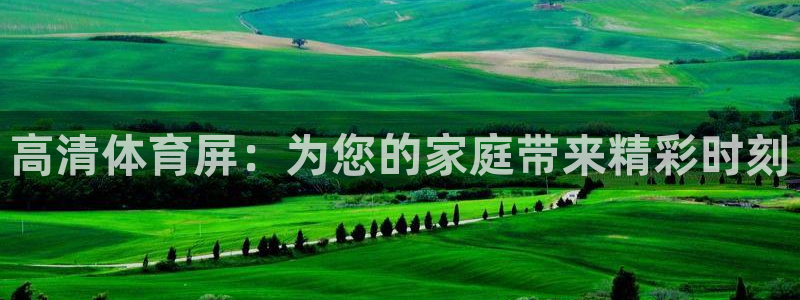 高清体育屏：为您的家庭带来精彩时刻