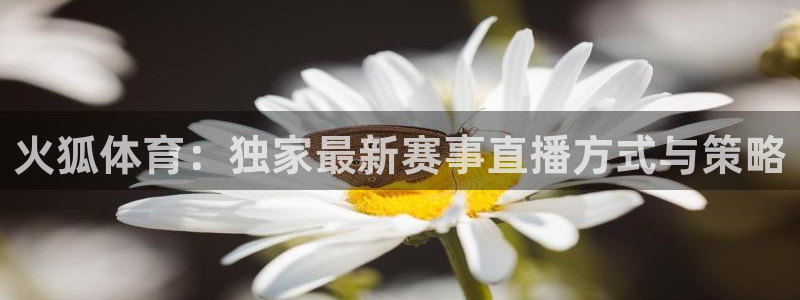 火狐体育：独家最新赛事直播方式与策略