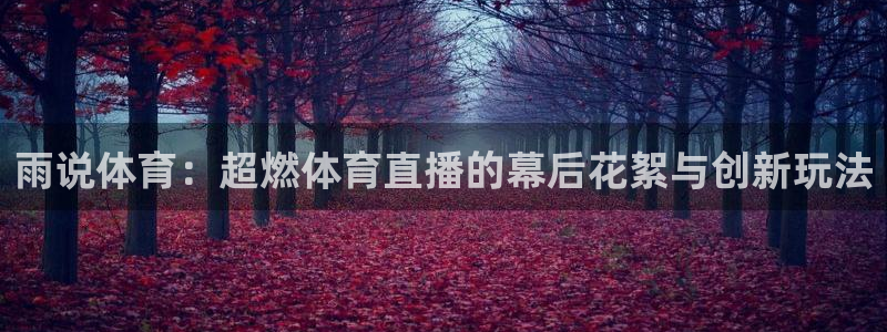 雨说体育：超燃体育直播的幕后花絮与创新玩法