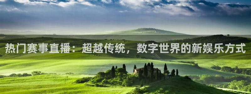 热门赛事直播：超越传统，数字世界的新娱乐方式