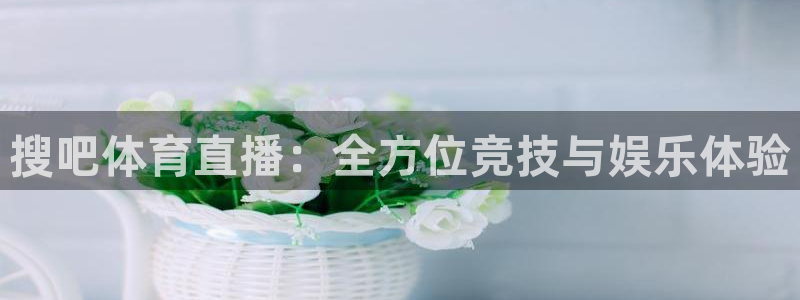 搜吧体育直播：全方位竞技与娱乐体验