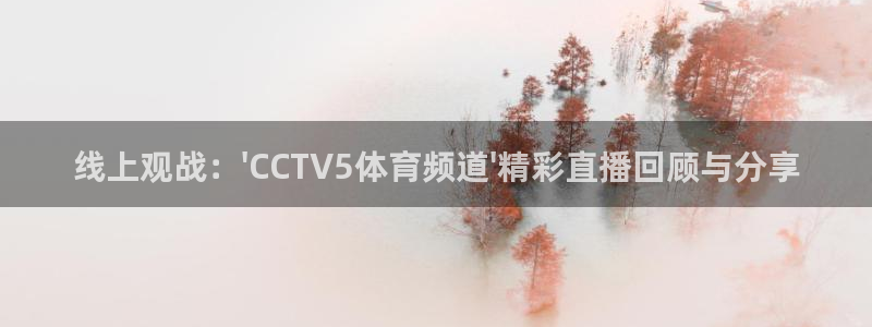 线上观战：\'CCTV5体育频道\'精彩直播回顾与分享