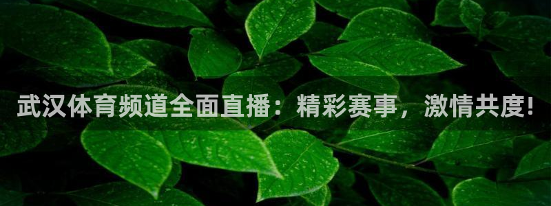武汉体育频道全面直播：精彩赛事，激情共度!